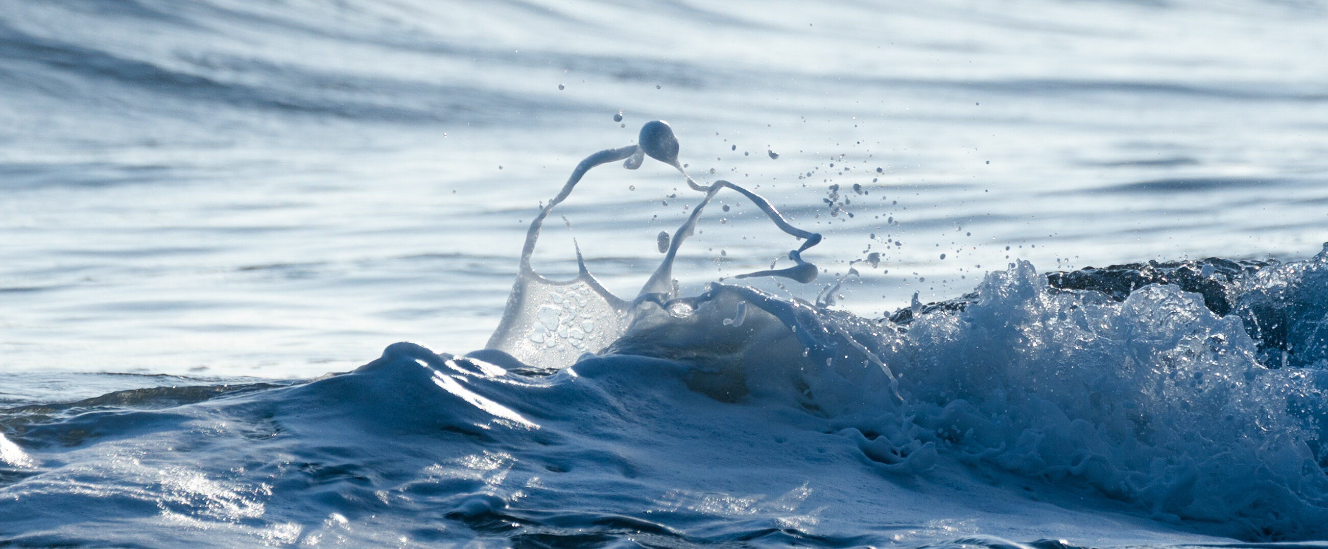 Hawaii Big Island landscape